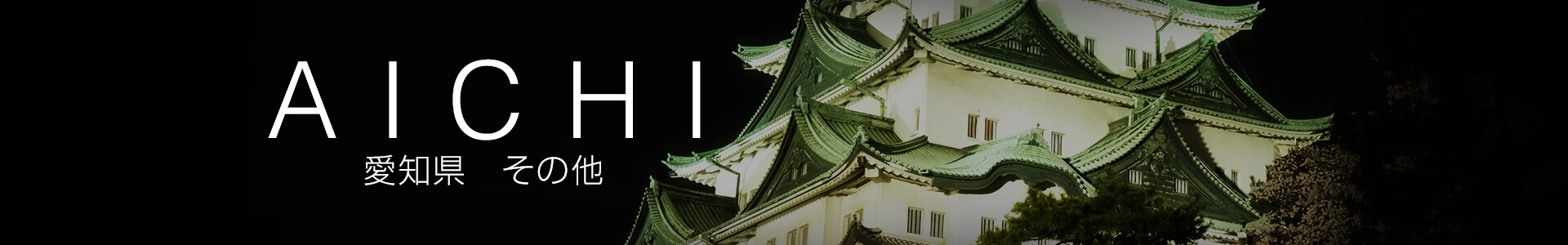 愛知県その他
